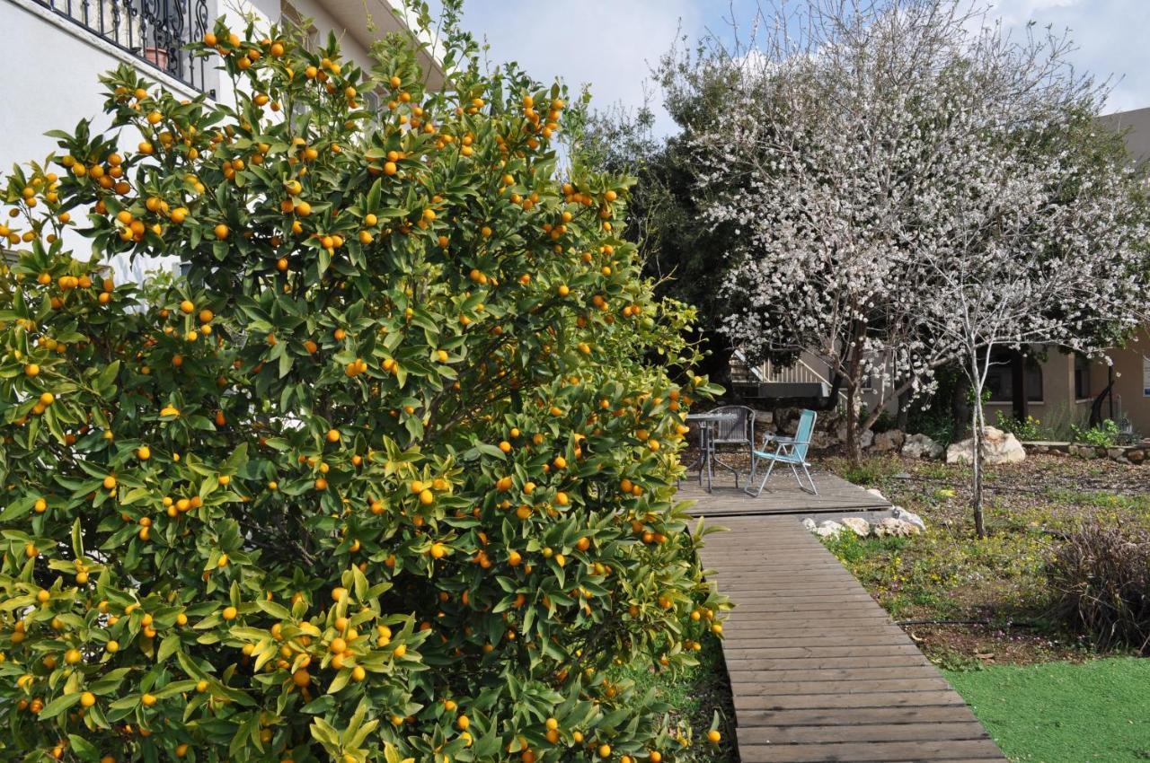 Shmulik Galilee Villa Lavon Luaran gambar