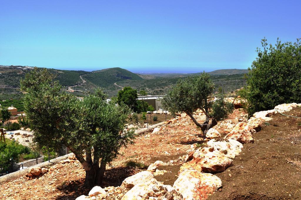 Shmulik Galilee Villa Lavon Luaran gambar